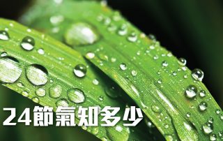 24節氣知多少