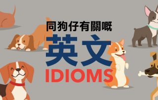 同狗仔有關嘅英文 Idioms