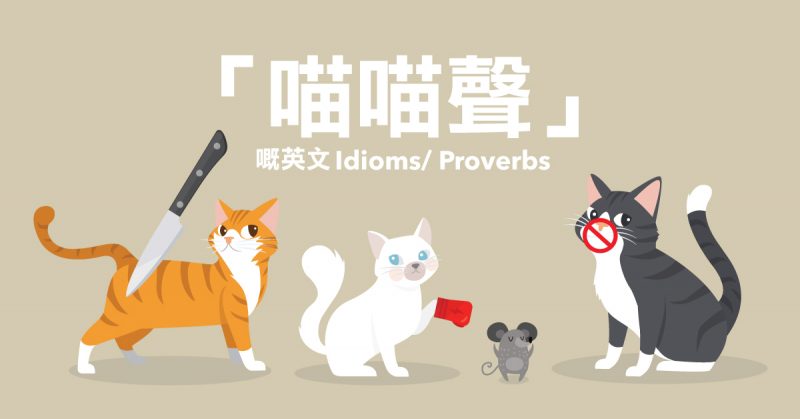 「喵喵聲」嘅英文 Idioms/ Proverbs