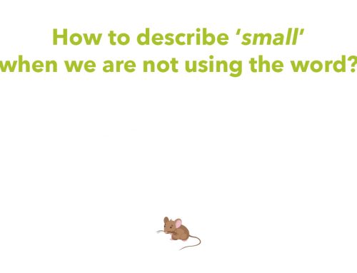 How to describe ‘small’ when we are not using the word?